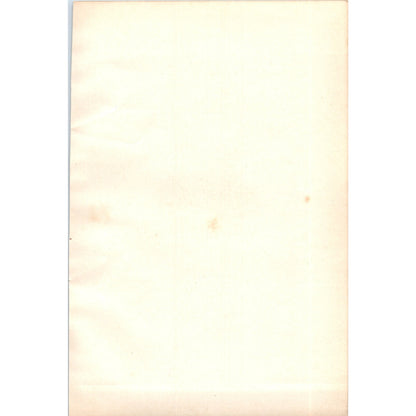 Cole Tit Bird 1903 Original Color Engraving Plate Print AD8-B1