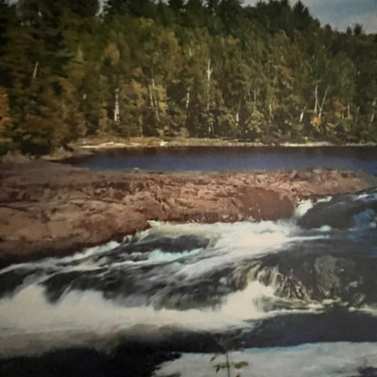 Rocky Rapids Forest River Scene 7x9" Art Print V23