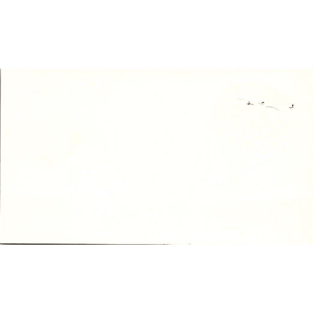 Shirley Whalen Realtor Remax Houston Vintage Business Card SD9-B7