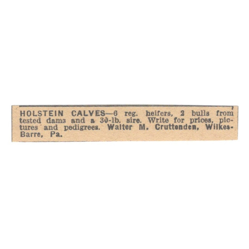 Walter M. Cruttenden Holstein Calves Wilkes-Barre PA 1922 Magazine Ad AF2-T1