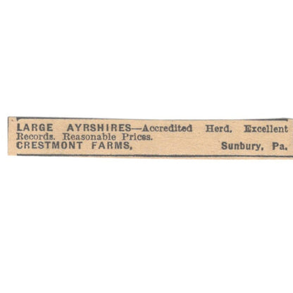 Crestmont Farms Large Ayrshires Sunbury PA 1922 Magazine Ad AF2-T1