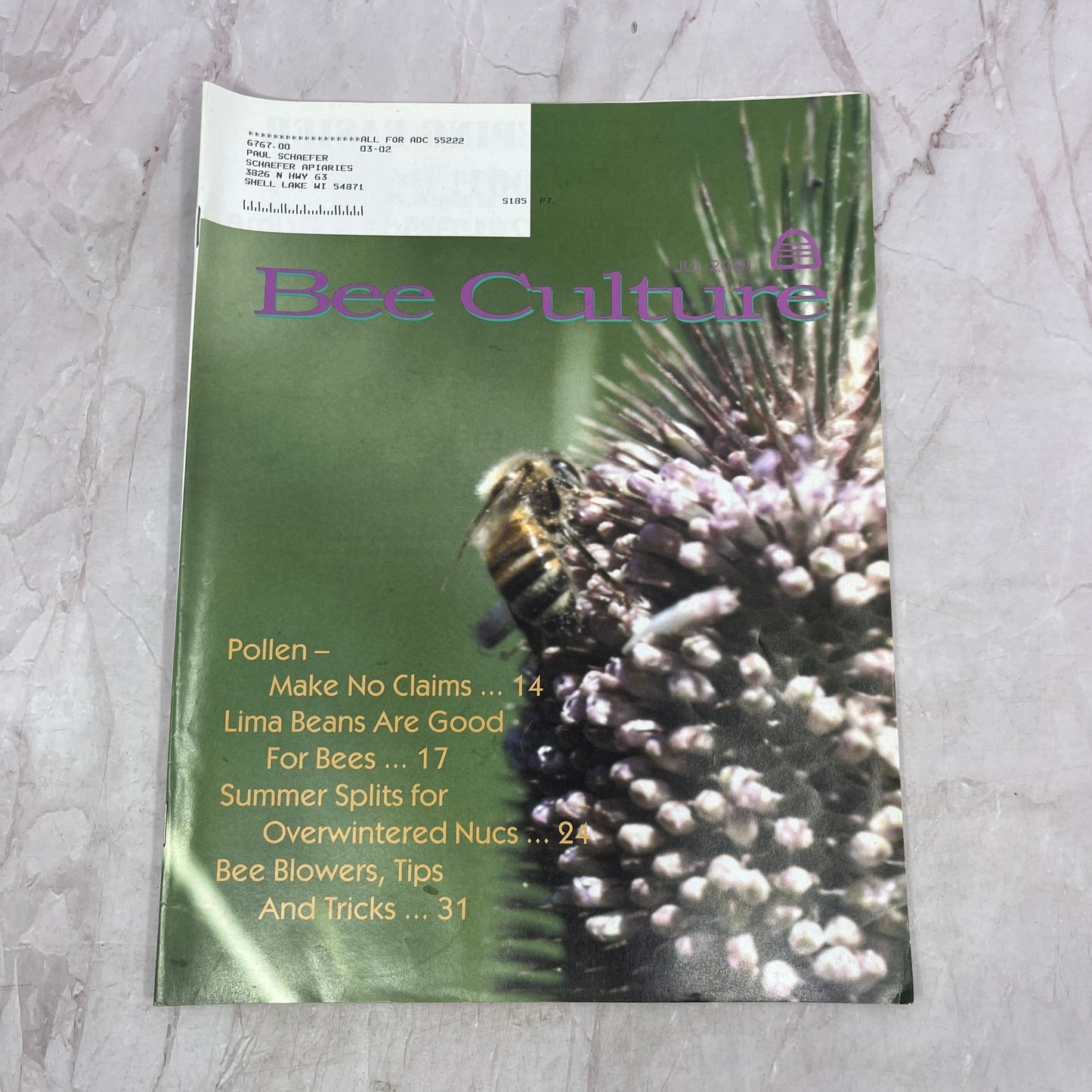 2001 July - Gleanings in Bee Culture Magazine - Bees Beekeeping Honey M32