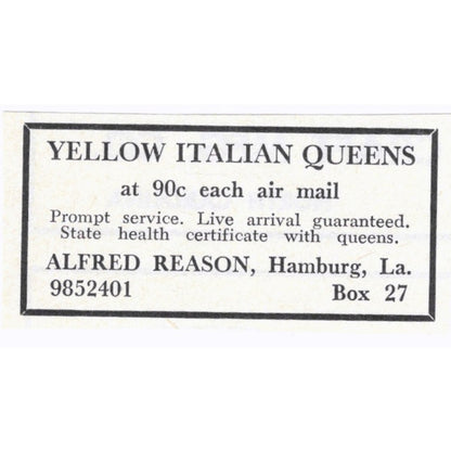 Alfred Reason Yellow Italian Queen Bees Hamburg LA 1964 Magazine Ad AK6-S15