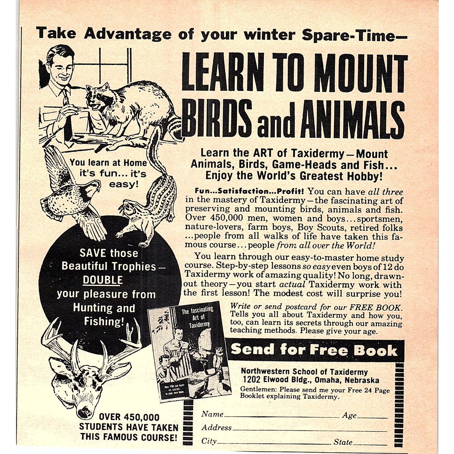 Learn Taxidermy - Northwestern School of Taxidermy Omaha NE 1977 Ad AF6-5