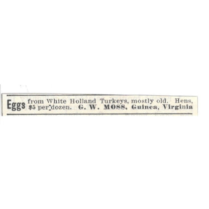 G.W. Moss Hen Eggs Guinea Virginia 1924 Ad AG3-S9