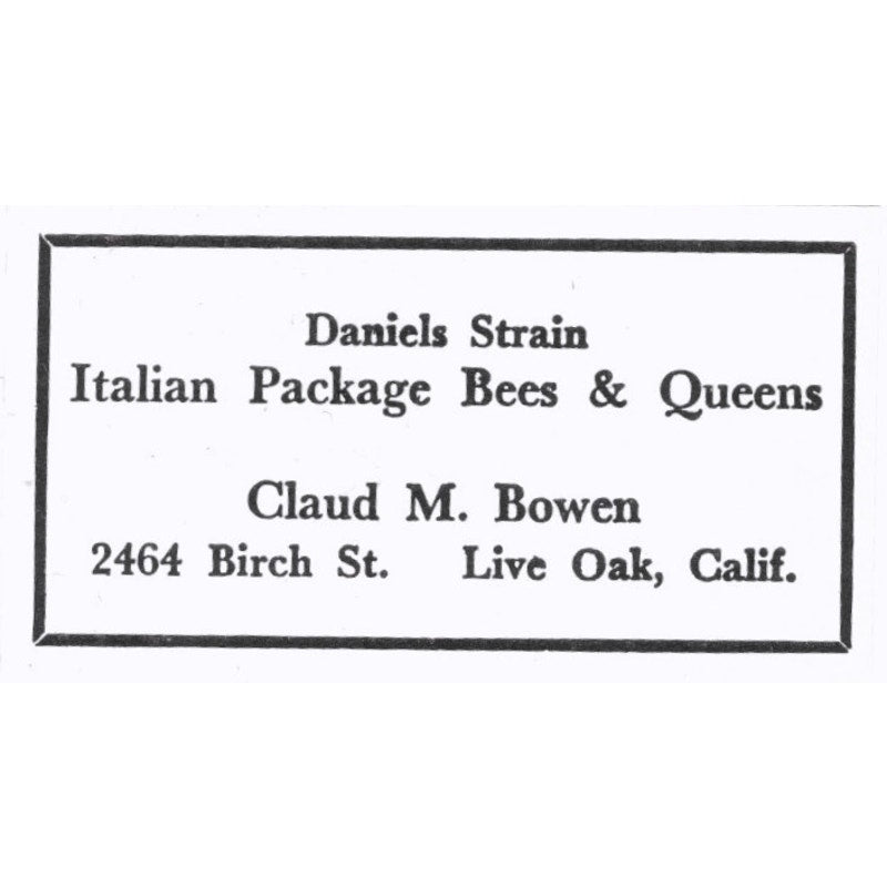 Daniels Strain Bees Claud M. Bowen Live Oak CA 1964 Magazine Ad AK6-S15