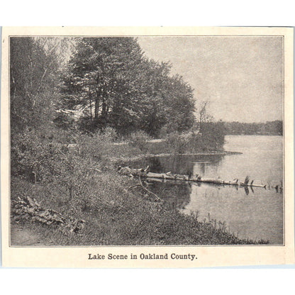 Lake Scene in Oakland County Michigan 1901 Engraving AF2-A6
