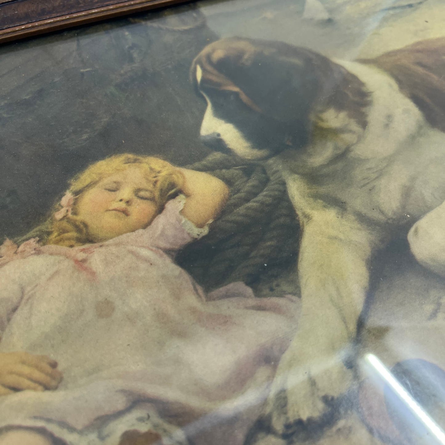 1906 Framed Wall Art Print Arthur Elsley Girl Sleeping St Bernard Dog On Beach
