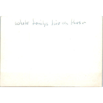 Causeway Bay Typhoon Shelter Hong Kong Vintage Photograph 2x3" AE7