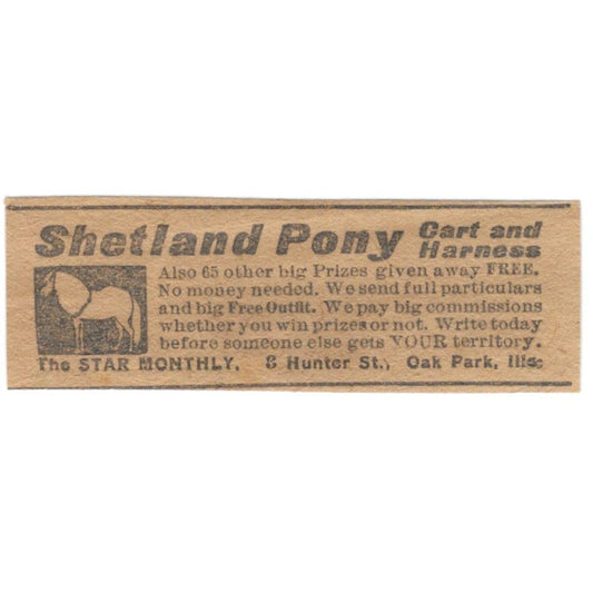 Shetland Pony Cart and Harness Star Monthly Oak Park IL 1906 Original Ad AK6-S10