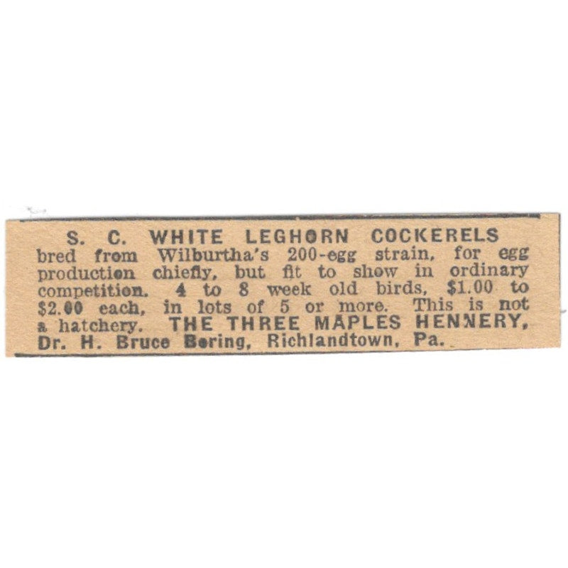 Drew H. Bruce Bering S.C. White Leghorn Cockerels Richlandtown PA 1922 Ad AF2-T7