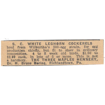 Drew H. Bruce Bering S.C. White Leghorn Cockerels Richlandtown PA 1922 Ad AF2-T7