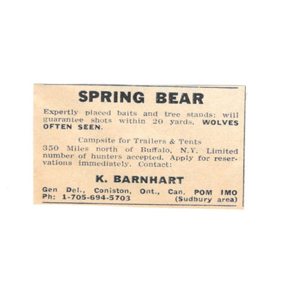 Spring Bear Hunting K. Barnhart Coniston Ontario CA 1977 Ad AF6-S2
