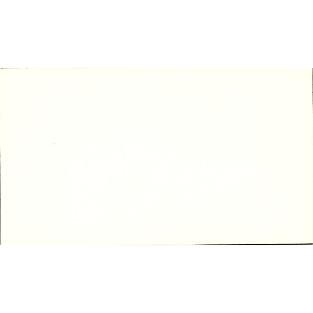 Dorothy H Peters Arthur Andersen & Co CPA Houston Vintage Business Card SD9-B1