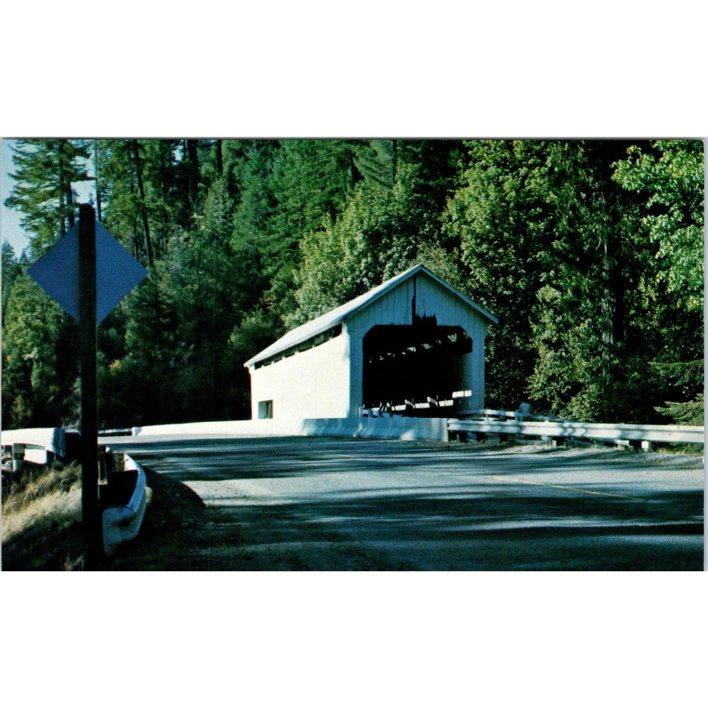 Horse Creek Covered Bridge 37-20-12 McKenzie OR Vtg Covered Bridge Postcard PD6