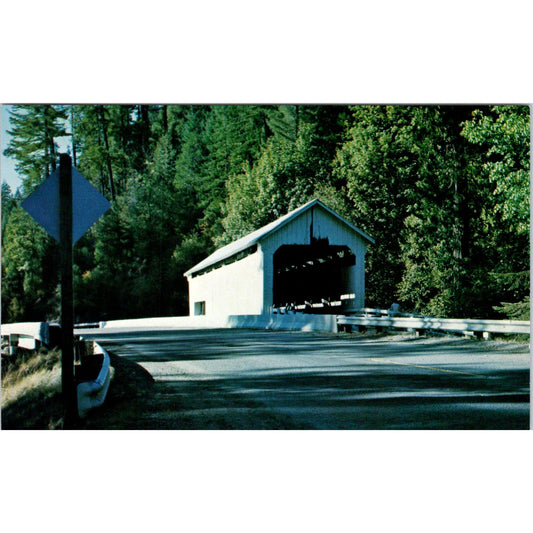Horse Creek Covered Bridge 37-20-12 McKenzie OR Vtg Covered Bridge Postcard PD6