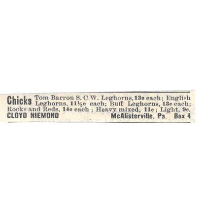 Cloyd Niemond Chicks McAlisterville PA 1924 Ad AG3-S9