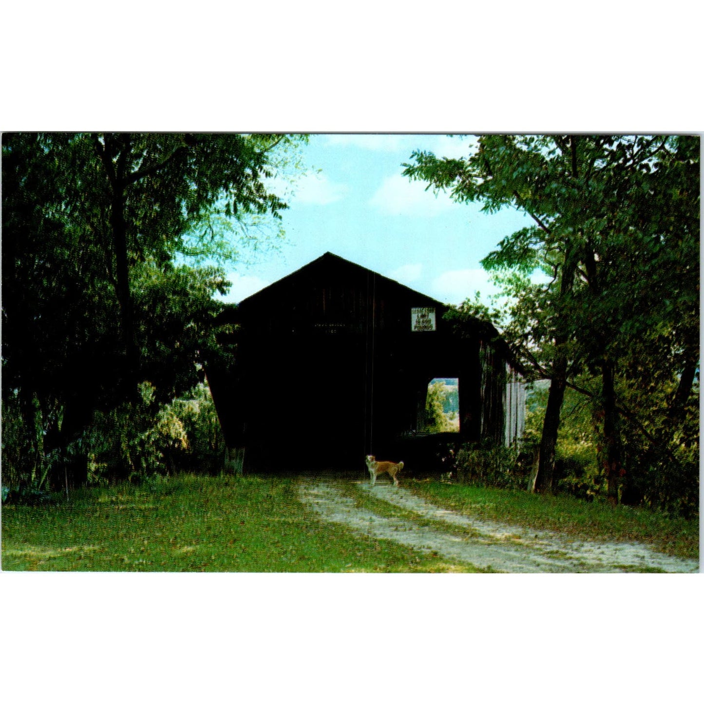 Old Covered Mead Bridge Pittsford VT Vintage Covered Bridge Postcard PD6
