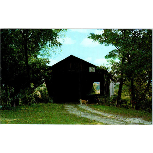 Old Covered Mead Bridge Pittsford VT Vintage Covered Bridge Postcard PD6