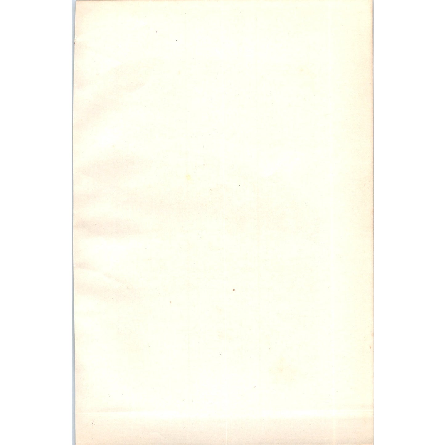 Starling Bird 1903 Original Color Engraving Plate Print AD8-B7