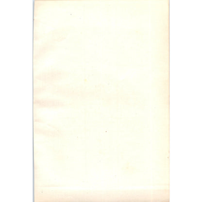 Starling Bird 1903 Original Color Engraving Plate Print AD8-B7