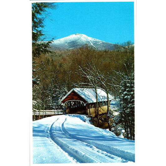 Flume Bridge Franconia Notch White Mts NH Vintage Covered Bridge Postcard PD6