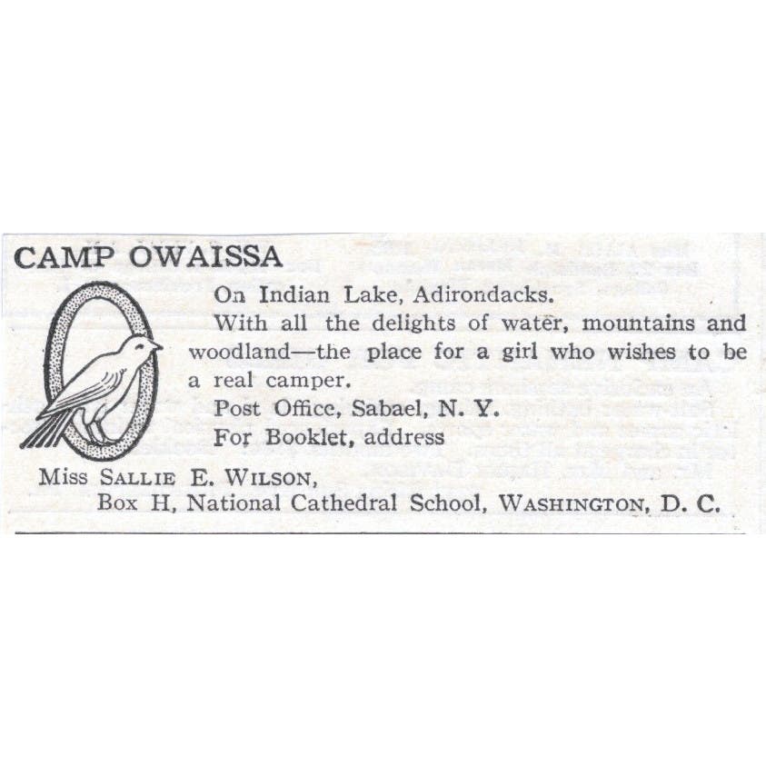 Camp Owaissa Sallie E. Wilson Washington DC c1918 Magazine Advertisement AE5-SA3