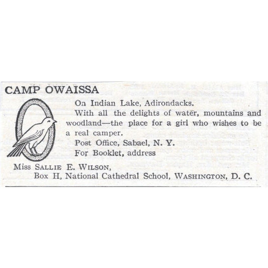 Camp Owaissa Sallie E. Wilson Washington DC c1918 Magazine Advertisement AE5-SA3