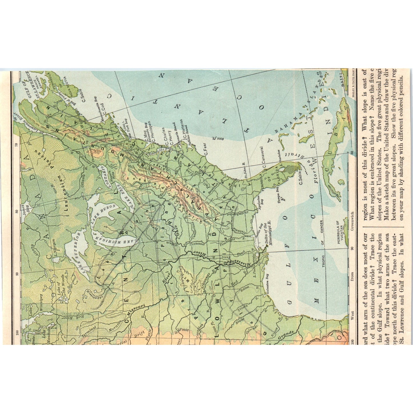 Animals of North America Eagle Puma Monkey Bison Beaver 1901 Engraving AF2-A6