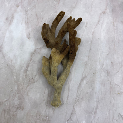Vintage Dead Man's Fingers Ocean Sea Sponge 8" Long TG7