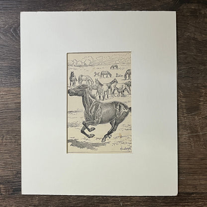 Antique Engraving Black Horse Stallion H. Von Horsten Matted Art Print 10x12 V5