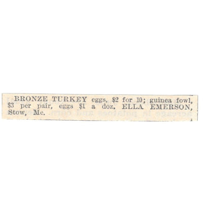 Bronze Turkey Eggs Ella Emerson Stow ME 1905 Magazine Ad AF1-NES2