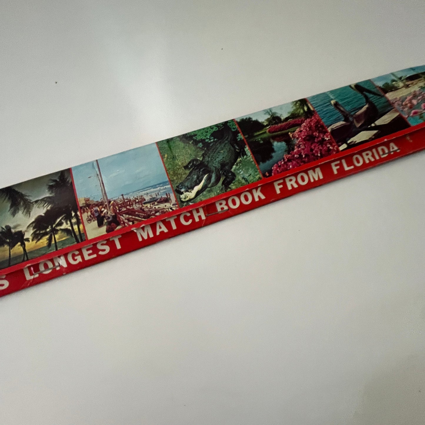 World's Longest Matchbook from Florida 15" Souvenir Vintage Matchbook TB7