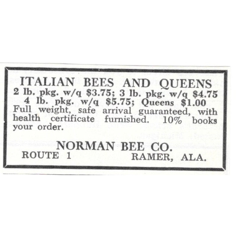 Italian Bees and Queens Norman Bee Co Ramer AL 1961 Magazine Ad AK6-S13
