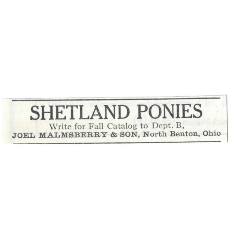 Shetland Ponies Joel Malmsberry & Son North Benton OH 1913 Magazine Ad AE7-N8