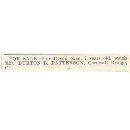 Devon Oxen Burton B. Patterson Cornwall Bridge CT 1905 Magazine Ad AF1-NES2