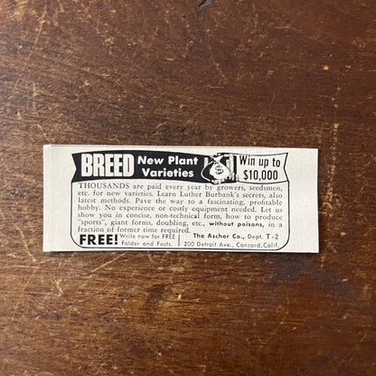 Breed New Plant Varieties - The Ascher Co Concord CA 1955 Ad AF9-S9