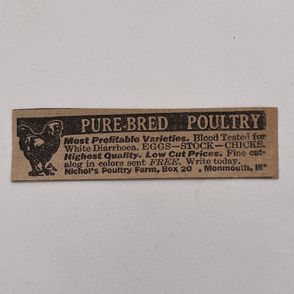 Nichol's Poultry Farm Monmouth Illinois 1926 Ad AG3-S1