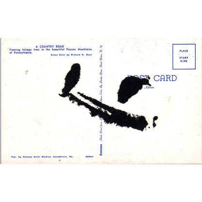 Pocono Mountains Foilage Pennsylvania Dutch Country Postcard PD7