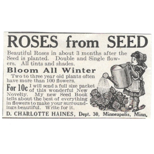 Rose Seeds D. Charlotte Haines Minneapolis MN 1918 Magazine Ad AF1-SS3