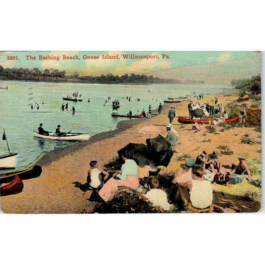 1911 The Bathing Beach Goose Island Williamsport PA Postcard PD8