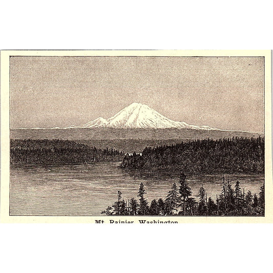 Mt. Rainier Washington 3x4" 1901 Engraving AF6-M11