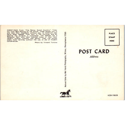 Amish Men at a Barn Raising Pennsylvania Dutch Country Postcard PD8