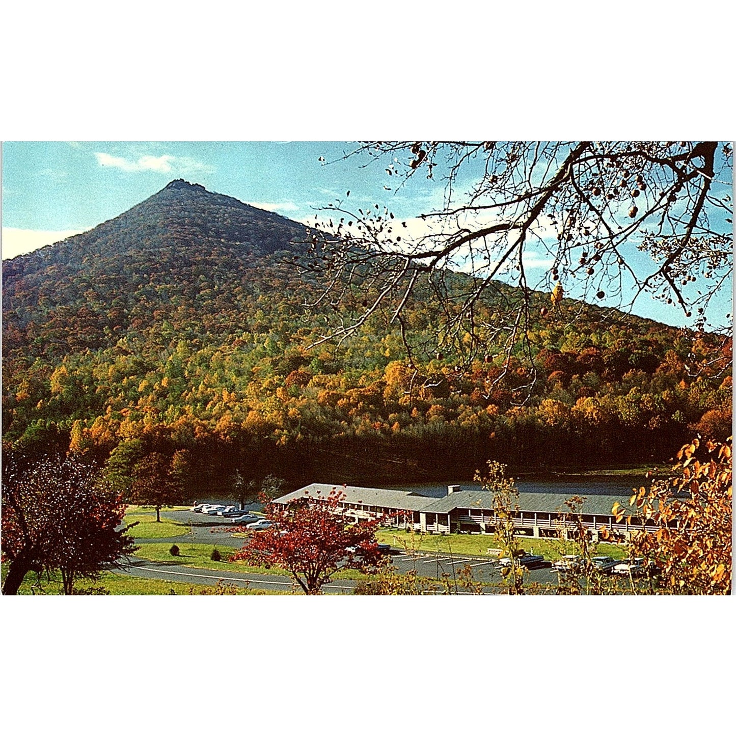 Peaks of Otter Lodge Blue Ridge Mountains Bedford VA Vintage Postcard TH2-TB3