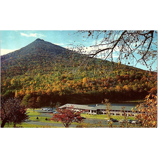 Peaks of Otter Lodge Blue Ridge Mountains Bedford VA Vintage Postcard TH2-TB3