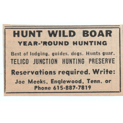 Hunt Wild Boar Telico Junction Preserve Joe Meeks Englewood TN 1977 Ad AF6-M4