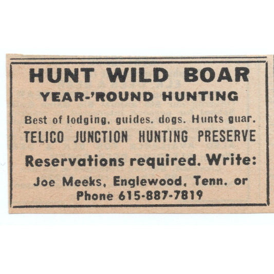 Hunt Wild Boar Telico Junction Preserve Joe Meeks Englewood TN 1977 Ad AF6-M4