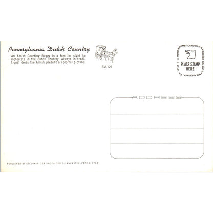 Amish Courting Buggy Pennsylvania Dutch Country Postcard PD7