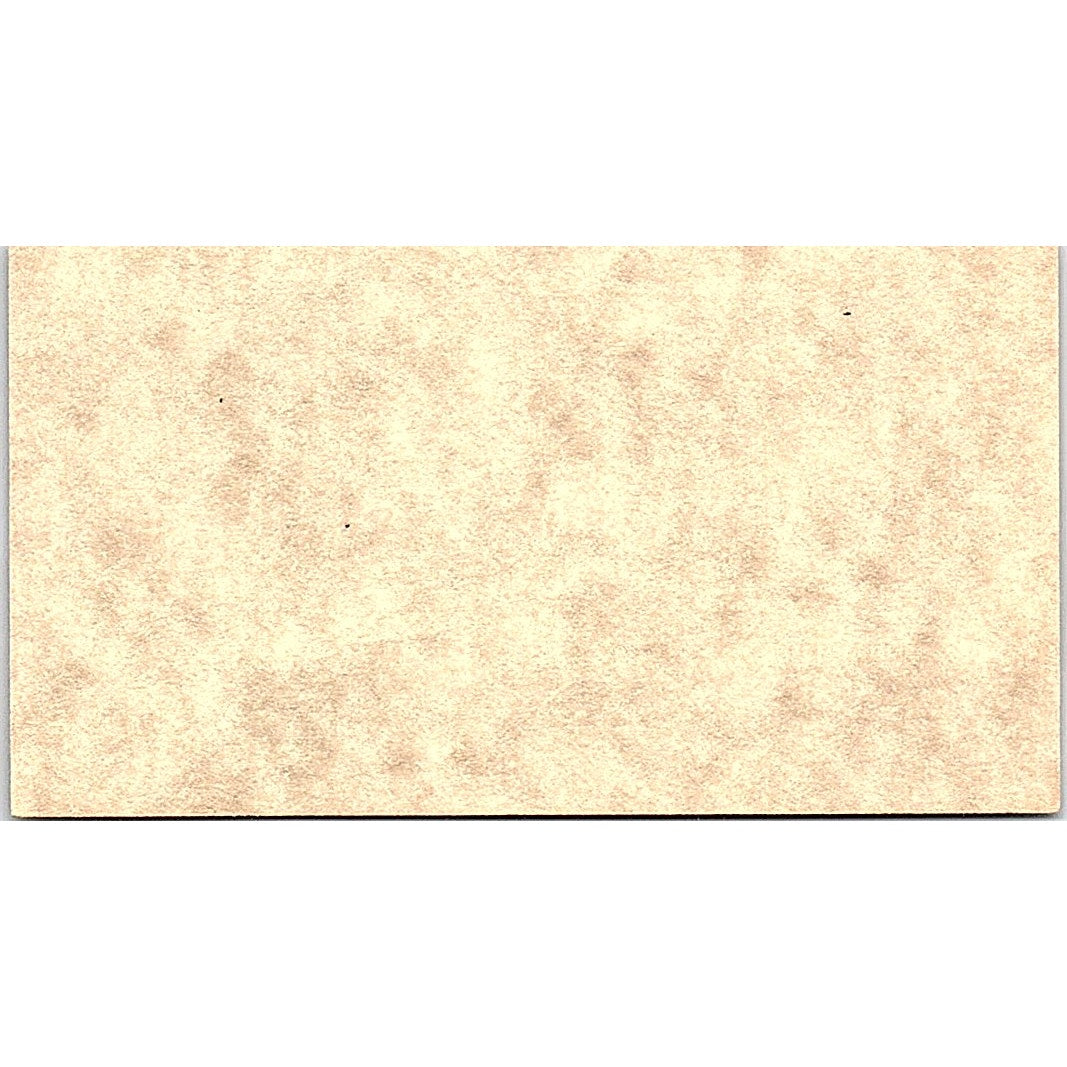 Tess Jackson D&B Developers Inc Houston TX Vintage Business Card SE3-B14