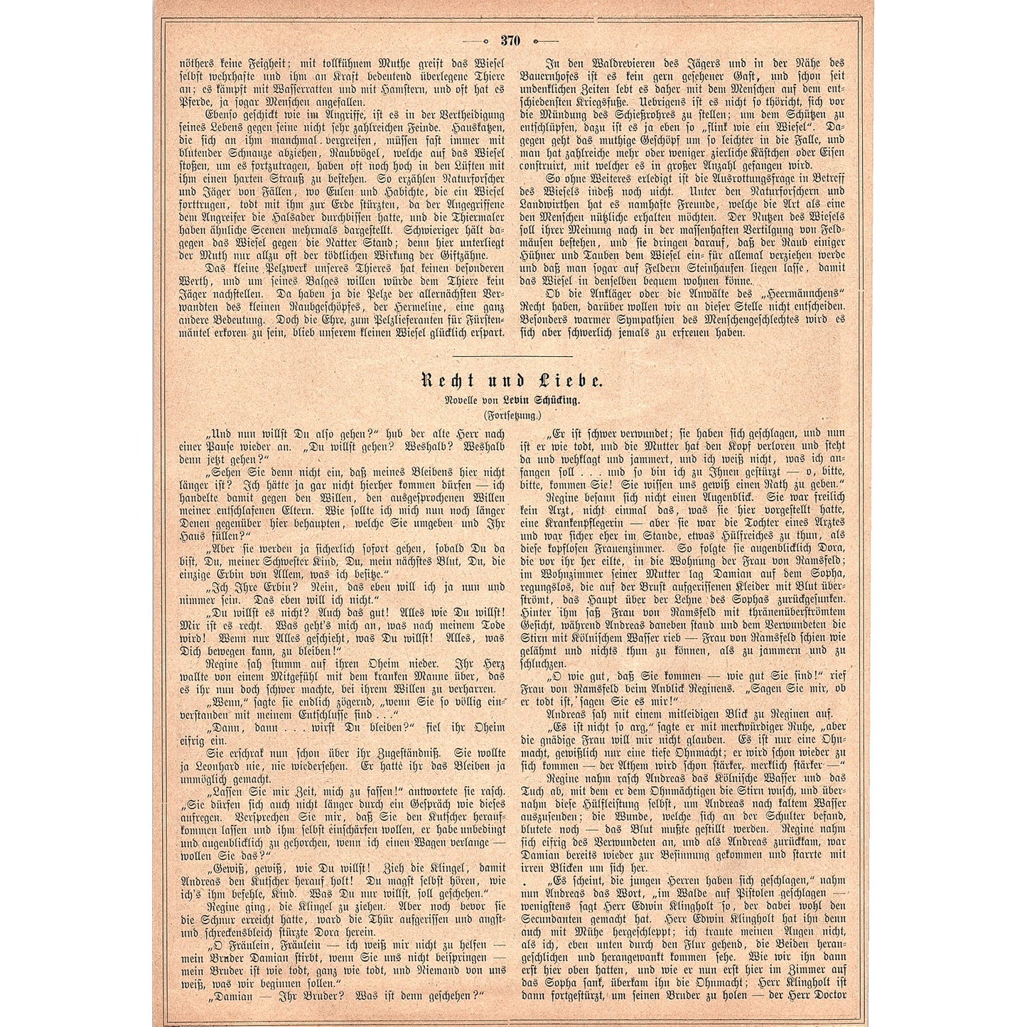 Great Titmouse and Yellow Weasel F. Specht 1892 Engraving V1-3